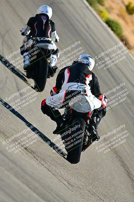 media/Oct-24-2025-2WTD (Fri) [[491f36c2bf]]/C Group/Session 3 (Turn 5)/